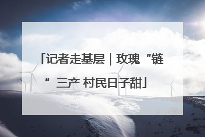记者走基层｜玫瑰“链”三产 村民日子甜