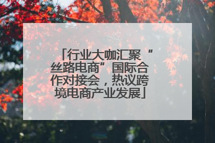 行业大咖汇聚“丝路电商”国际合作对接会，热议跨境电商产业发展