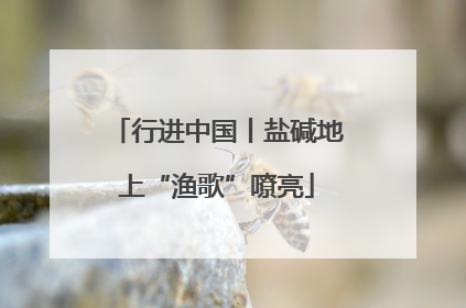 行进中国丨盐碱地上“渔歌”嘹亮