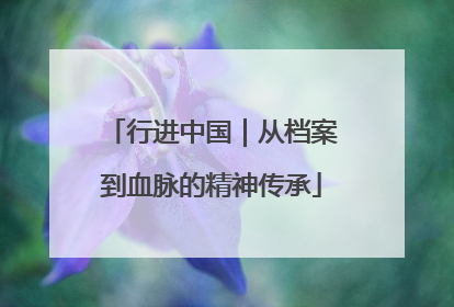 行进中国｜从档案到血脉的精神传承