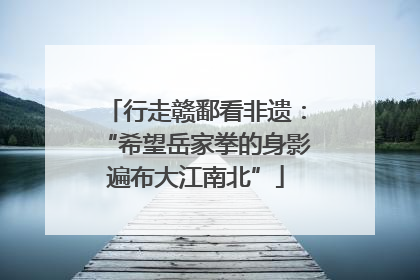 行走赣鄱看非遗：“希望岳家拳的身影遍布大江南北”