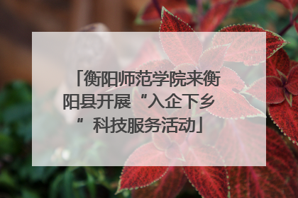 衡阳师范学院来衡阳县开展“入企下乡”科技服务活动