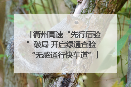 衢州高速“先行后验”破局 开启绿通查验“无感通行快车道”