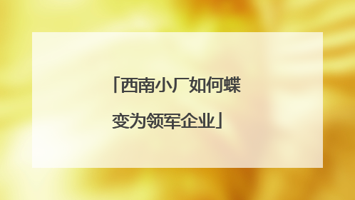 西南小厂如何蝶变为领军企业