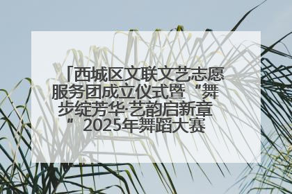 西城区文联文艺志愿服务团成立仪式暨“舞步绽芳华·艺韵启新章”2025年舞蹈大赛展演圆满举办