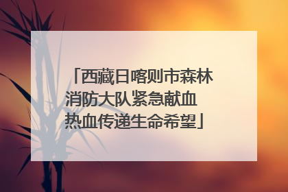 西藏日喀则市森林消防大队紧急献血 热血传递生命希望