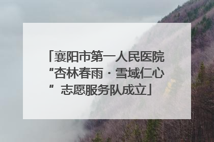 襄阳市第一人民医院“杏林春雨・雪域仁心”志愿服务队成立