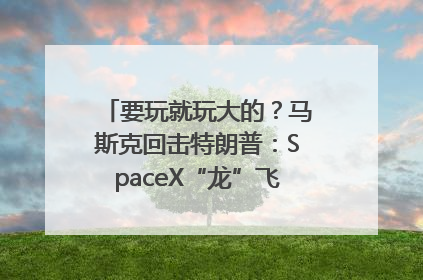 要玩就玩大的？马斯克回击特朗普：SpaceX“龙”飞船将立即退役！