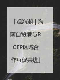 观海潮｜海南自贸港与RCEP区域合作互促共进