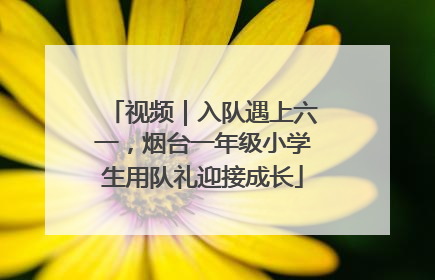 视频｜入队遇上六一，烟台一年级小学生用队礼迎接成长