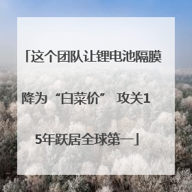 这个团队让锂电池隔膜降为“白菜价” 攻关15年跃居全球第一