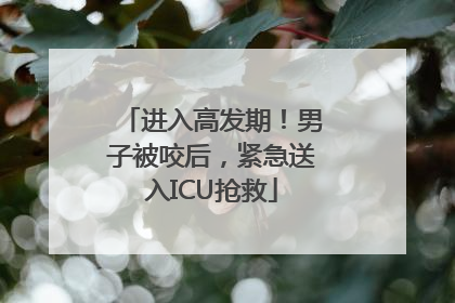 进入高发期！男子被咬后，紧急送入ICU抢救