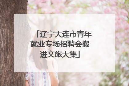 辽宁大连市青年就业专场招聘会搬进文旅大集