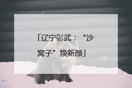 辽宁彰武：“沙窝子”焕新颜