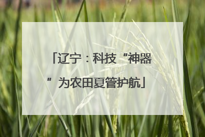 辽宁：科技“神器”为农田夏管护航