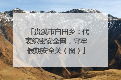 贵溪市白田乡：代表织密安全网，守牢假期安全关（图）