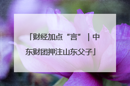 财经加点“言”｜中东财团押注山东父子