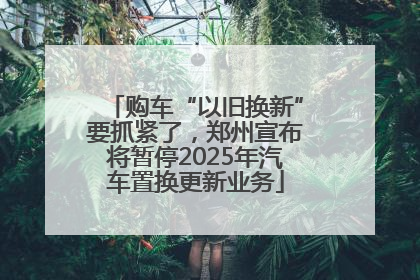 购车“以旧换新”要抓紧了，郑州宣布将暂停2025年汽车置换更新业务