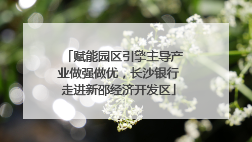 赋能园区引擎主导产业做强做优，长沙银行走进新邵经济开发区