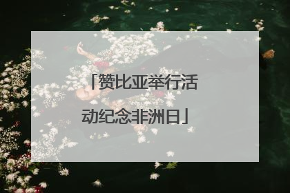 赞比亚举行活动纪念非洲日