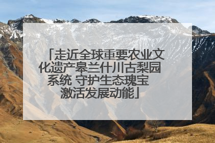 走近全球重要农业文化遗产皋兰什川古梨园系统 守护生态瑰宝 激活发展动能