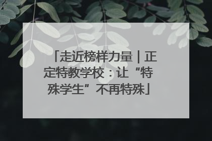 走近榜样力量｜正定特教学校：让“特殊学生”不再特殊