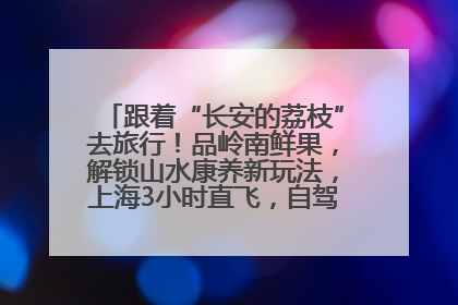 跟着“长安的荔枝”去旅行！品岭南鲜果，解锁山水康养新玩法，上海3小时直飞，自驾高速费优惠