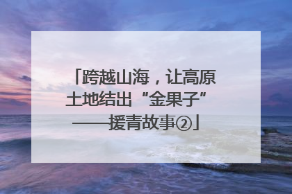 跨越山海，让高原土地结出“金果子”——援青故事②