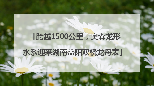 跨越1500公里，奥森龙形水系迎来湖南益阳双桡龙舟表