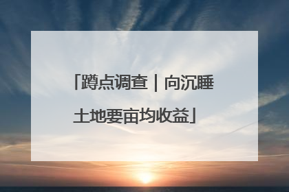 蹲点调查｜向沉睡土地要亩均收益