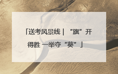 送考风景线｜“旗”开得胜 一举夺“葵”