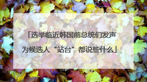 选举临近韩国前总统们发声 为候选人“站台”都说些什么