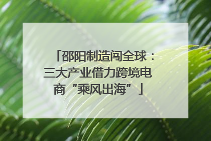 邵阳制造闯全球：三大产业借力跨境电商“乘风出海”