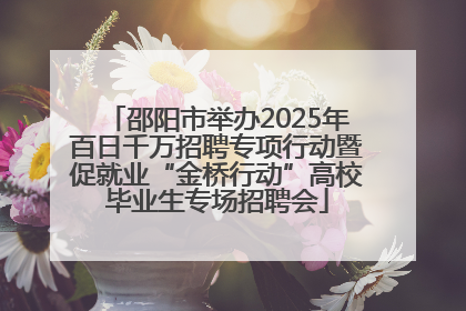 邵阳市举办2025年百日千万招聘专项行动暨促就业“金桥行动”高校毕业生专场招聘会