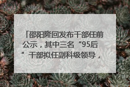 邵阳隆回发布干部任前公示，其中三名“95后”干部拟任副科级领导，均系硕士选调生