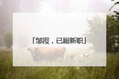 邹霞，已履新职