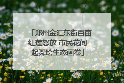郑州金汇东街百亩红莲怒放 市民花间起舞绘生态画卷