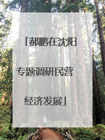 郝鹏在沈阳专题调研民营经济发展