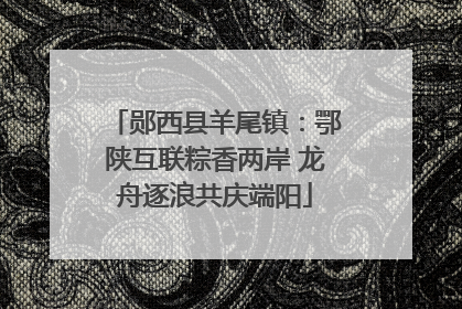 郧西县羊尾镇：鄂陕互联粽香两岸 龙舟逐浪共庆端阳