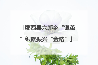 郧西县六郎乡“银茧”织就振兴“金路”