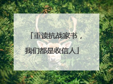 重读抗战家书,我们都是收信人