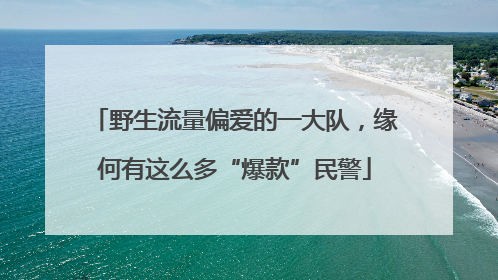 野生流量偏爱的一大队，缘何有这么多“爆款”民警