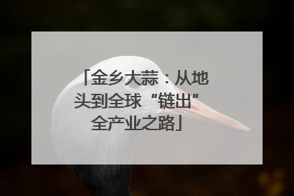 金乡大蒜：从地头到全球“链出”全产业之路