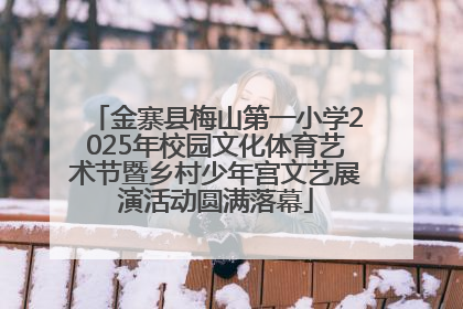 金寨县梅山第一小学2025年校园文化体育艺术节暨乡村少年宫文艺展演活动圆满落幕