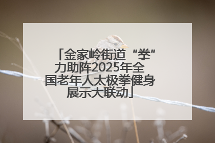 金家岭街道“拳”力助阵2025年全国老年人太极拳健身展示大联动