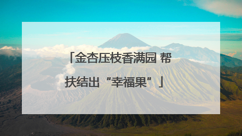 金杏压枝香满园 帮扶结出“幸福果”