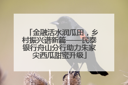 金融活水润瓜田，乡村振兴谱新篇——民泰银行舟山分行助力朱家尖西瓜甜蜜升级