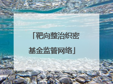 靶向整治织密基金监管网络