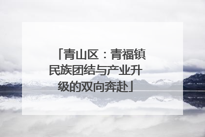 青山区：青福镇民族团结与产业升级的双向奔赴