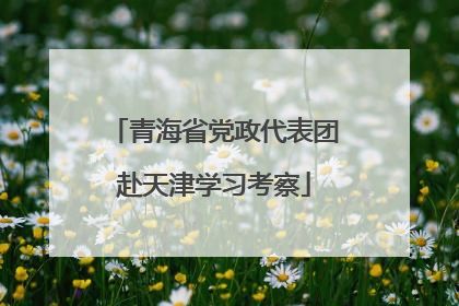 青海省党政代表团赴天津学习考察